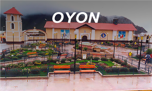 Terminal Oyón